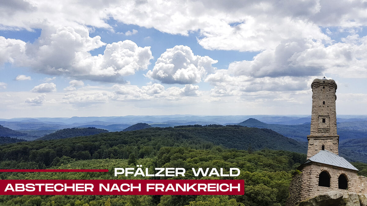 Abstecher nach Frankreich – Pfälzer Wald
